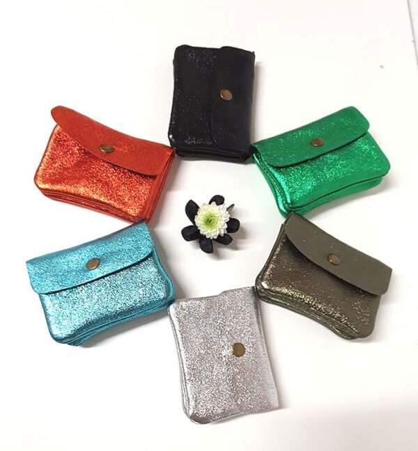 COLLECTION DES GIORGINETTE